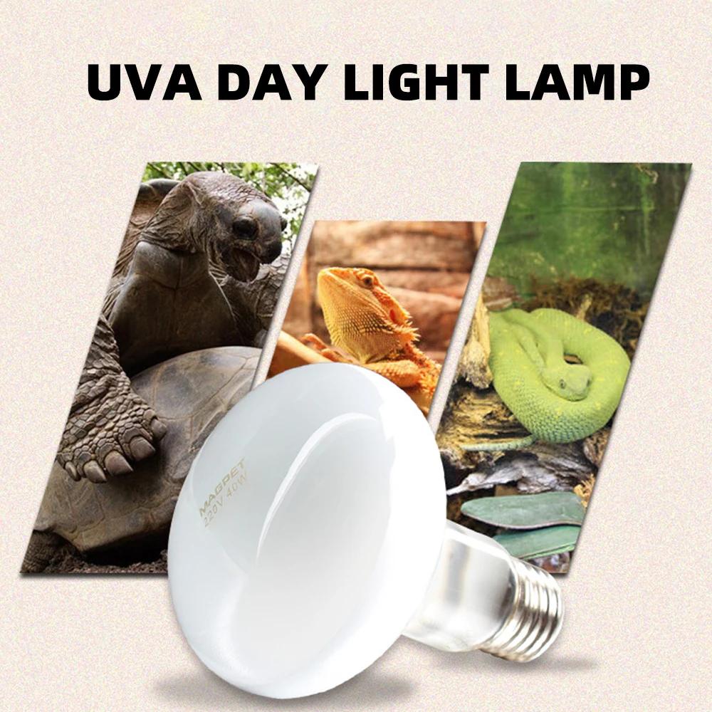 UVA + UVB lampe chauffante pour Reptile 220v ampoule chauffante pour tortue lézard Reptile lampe de 