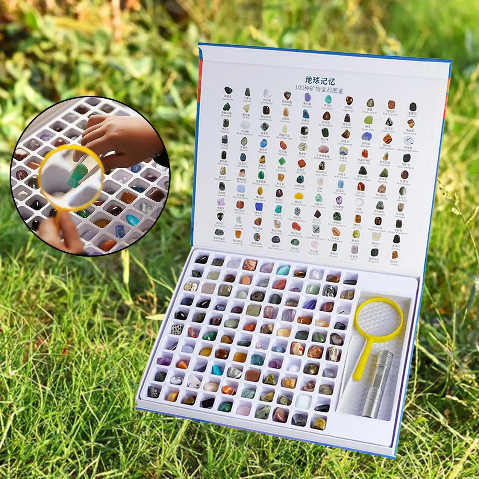 Livre de pierres précieuses naturelles pour enfants, collection de pierres précieuses, kit de géolog