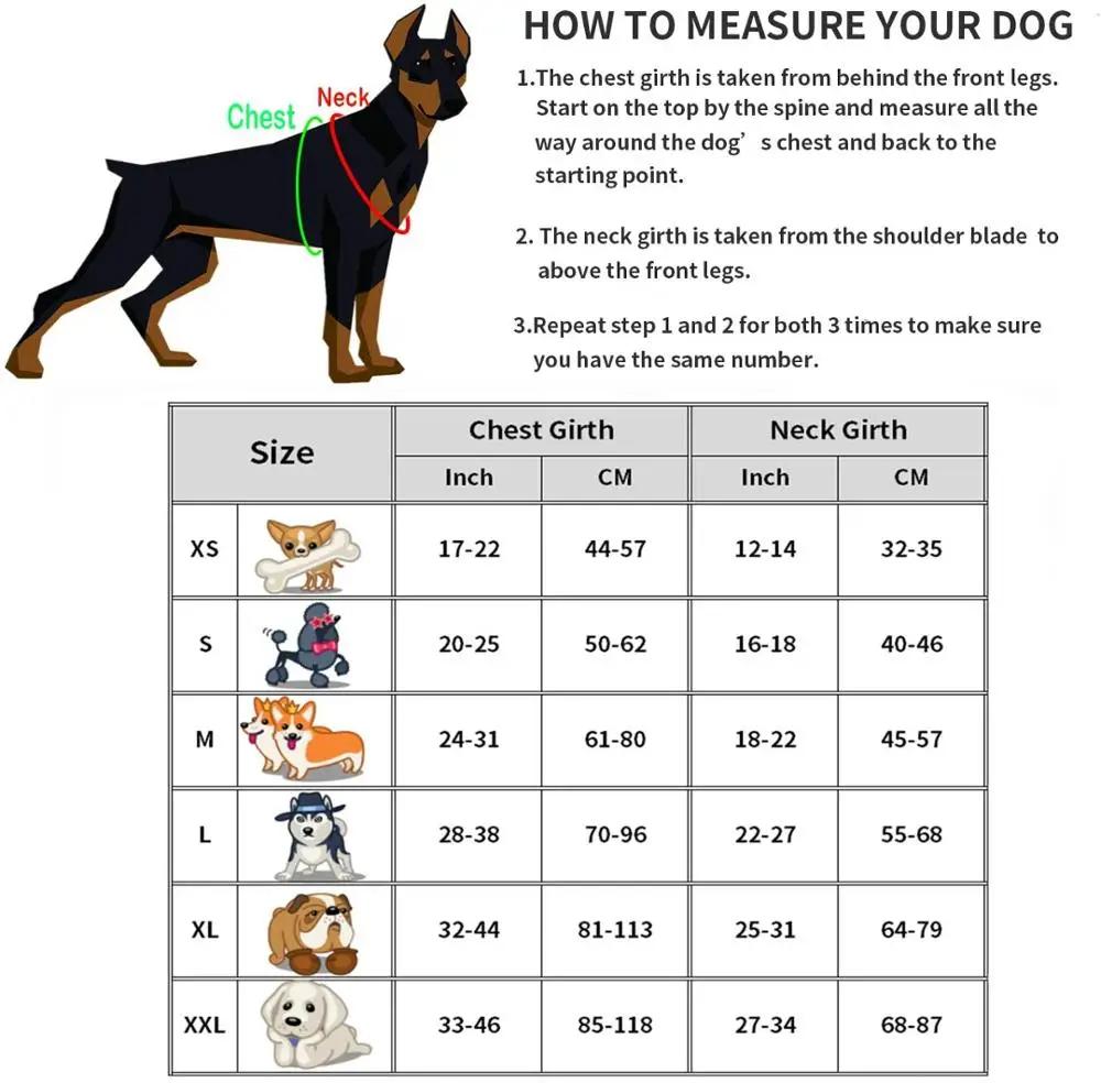DOG FAVORS – harnais coloré pour chien, gilet, étiquettes personnalisables, collier réfléchissant po