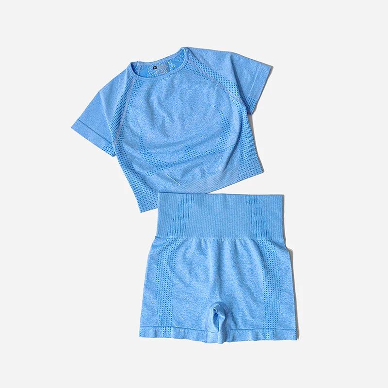 Ensemble de Yoga sans couture pour femmes, haut court, chemise à manches courtes, Short de Fitness, 