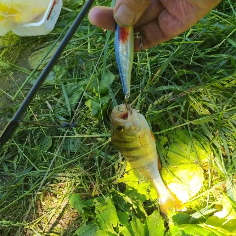 Minnow manivelle Wobbler Jerkbait leurre de pêche 8.8Cm 9G Isca artificiel Carkbait Swimbait matérie