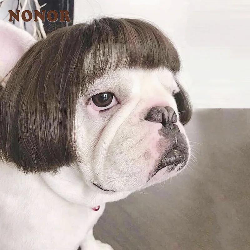 NONOR-Perruques pour animaux de compagnie, accessoires de cosplay, chapeau en élasthanne croisée, ol