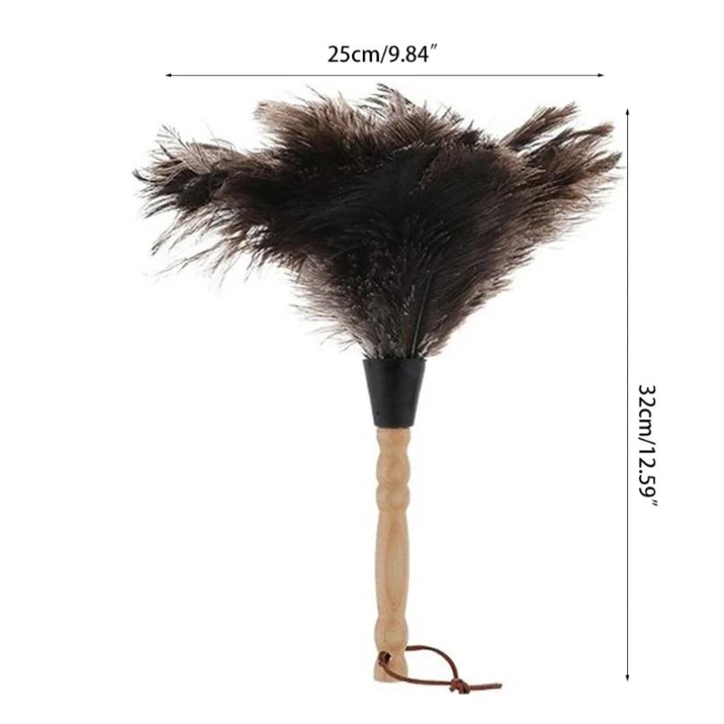 Plumeau en plumes d'autruche naturelles avec manche en bois, brosse à poussière écologique, fournitu