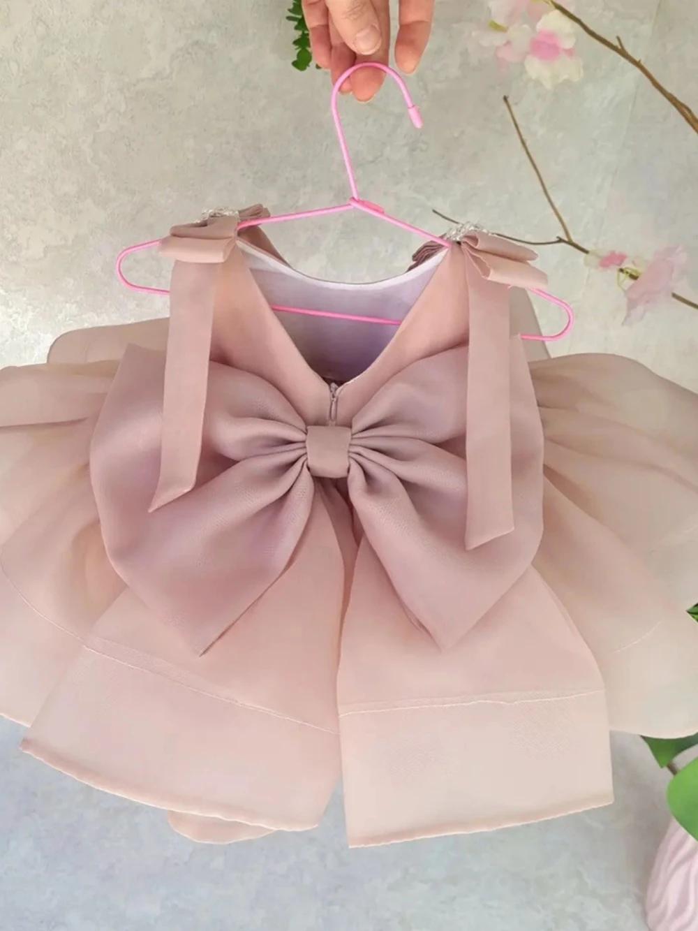 Robe de Princesse Bouffante en Tulle pour Enfant, Rose Doux, pour Spectacle Sв, avec Nministériels d