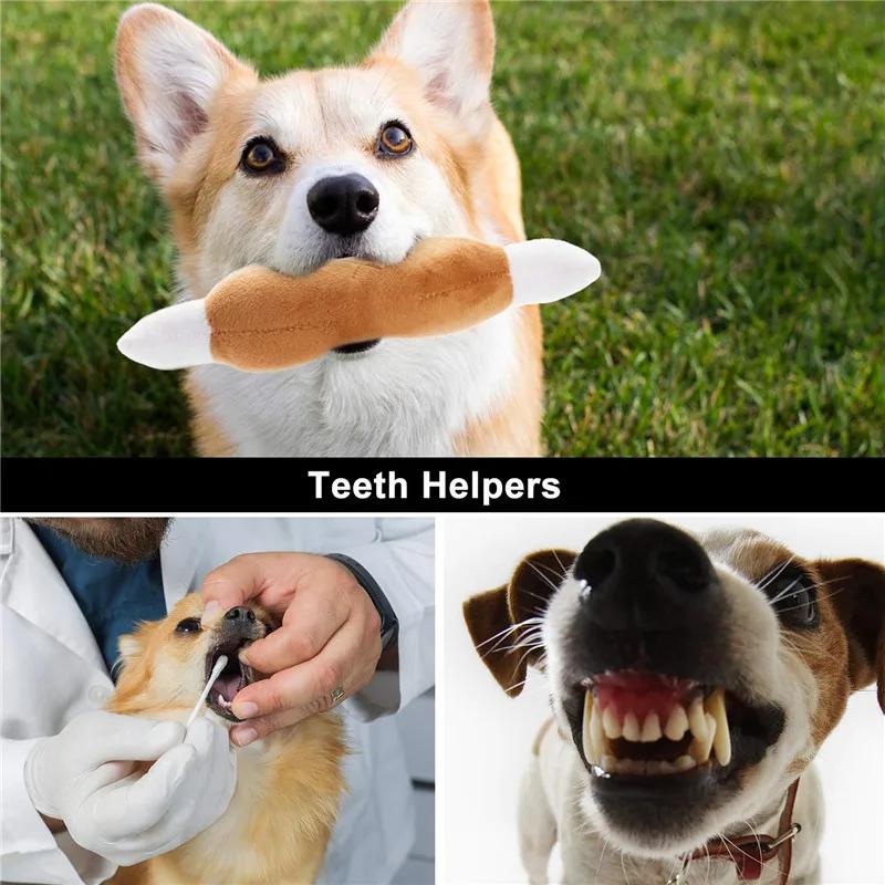 Jouets en peluche grinçants pour chiens, 10/20/50 paquets, jouets en peluche mignons pour petits et 
