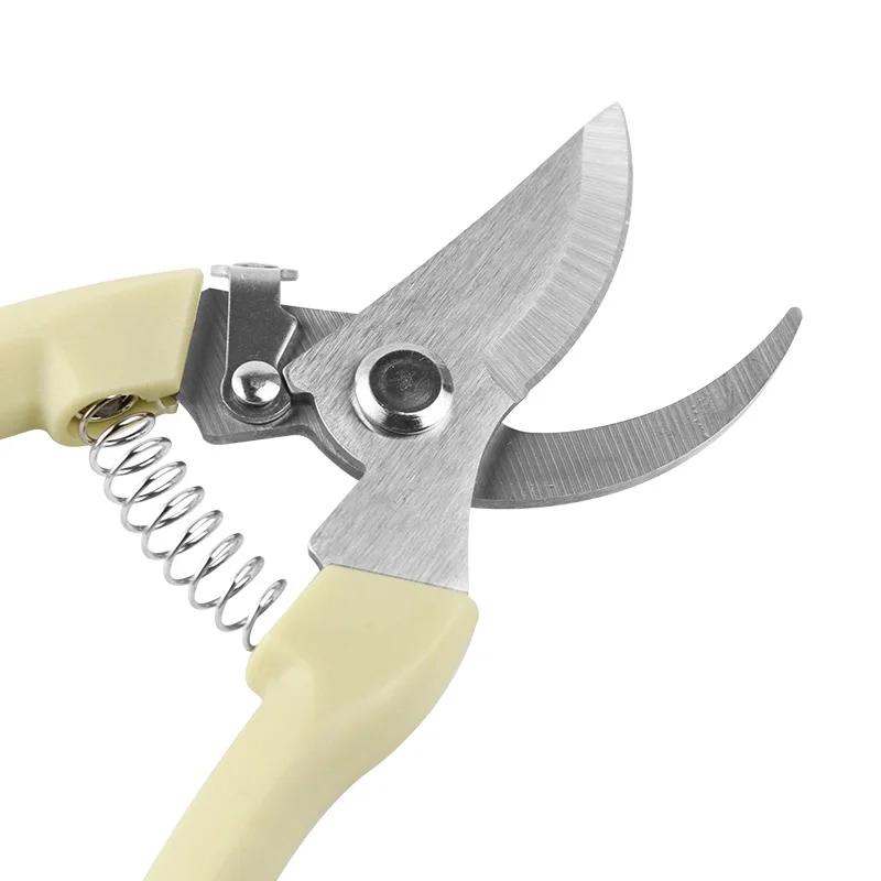 Outil de greffage en acier inoxydable, cisaille de jardinage, ciseaux, outil de branche, cisaille de