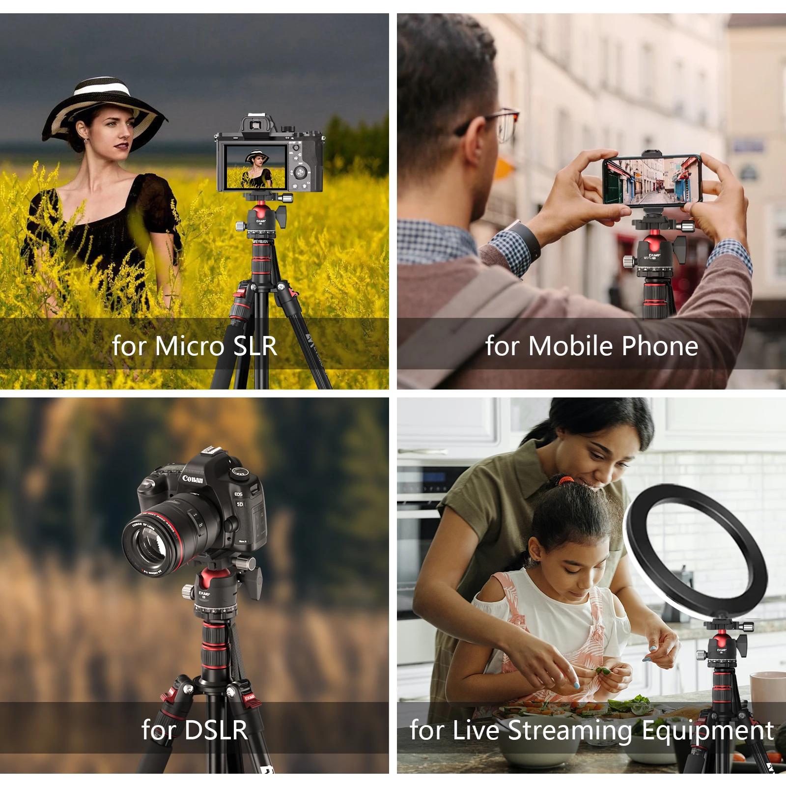 EVUMO C5 Tête sphérique professionnelle 38 mm Grande tête sphérique 360 °   Tête de trépied panorami