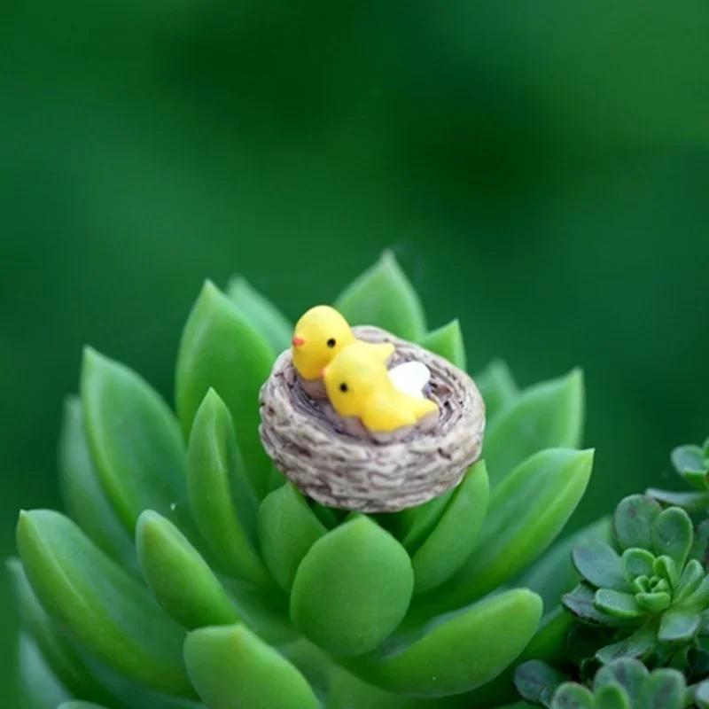 Mini nid avec oiseaux, bricolage, jardin féerique, Miniatures, Gnomes, mousse, Terrariums, Figurines