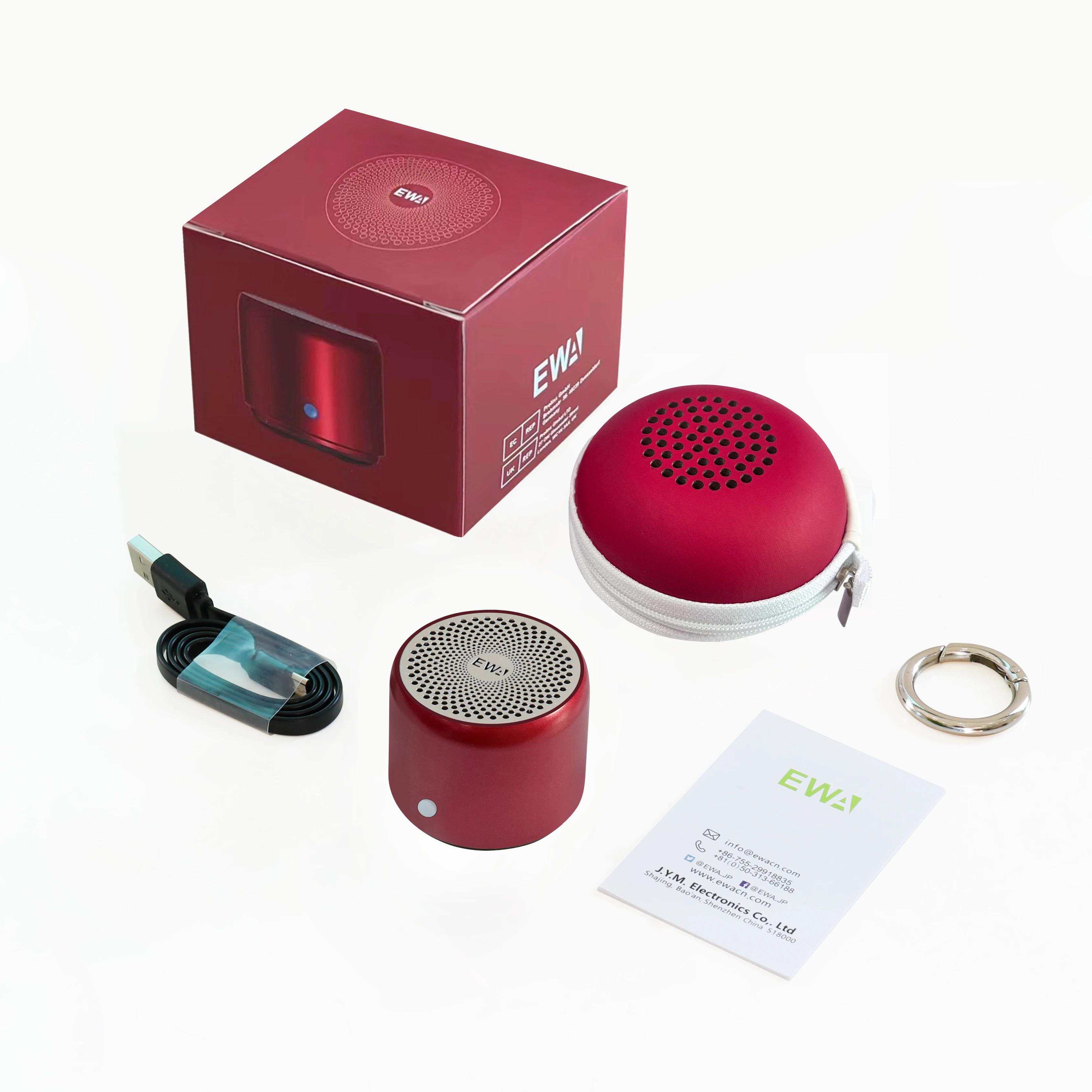 EWA – étui de voyage A106 Pro, haut-parleur Bluetooth Portable avec radiateur de basses personnalisé
