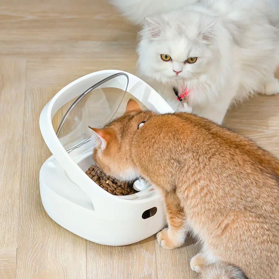 Nouveau mangeoire Petoneer NutriCare sur mesure pour les ménages multi-animaux mangeoire pour animau