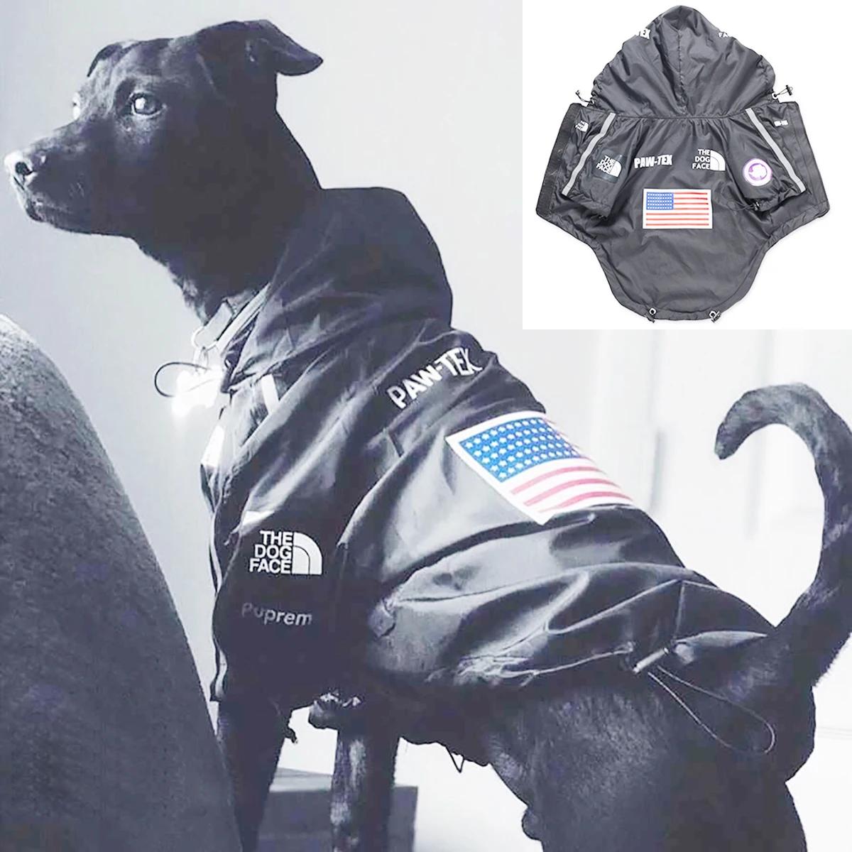 Manteau imperméable pour chien, veste réfléchissante à capuche pour chien, vêtements d'extérieur pou