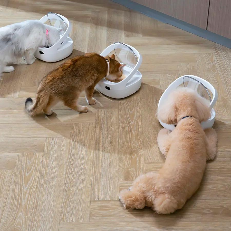 Nouveau mangeoire Petoneer NutriCare sur mesure pour les ménages multi-animaux mangeoire pour animau