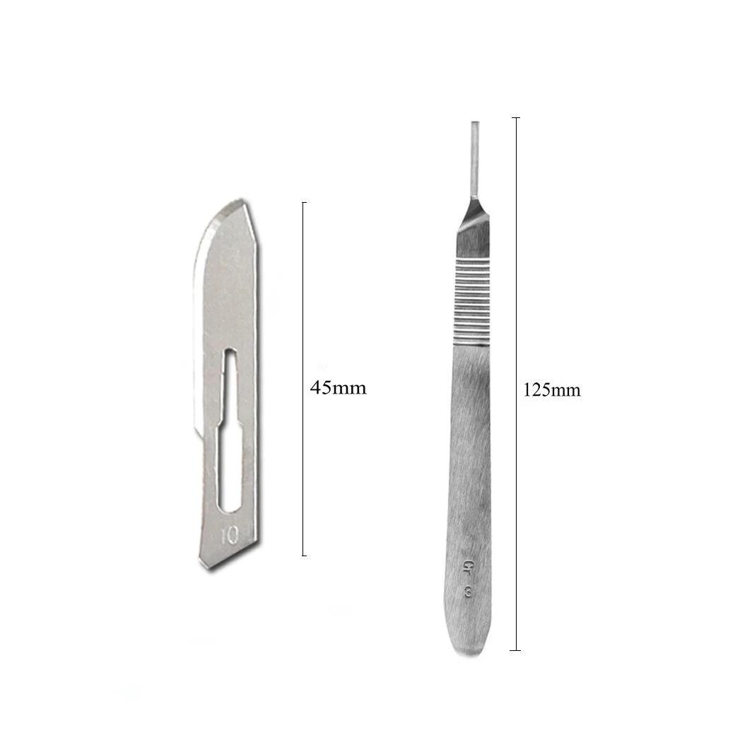 10 lames de scalpel stérile # 10 avec poignée pour dermaplanage, pédicure, artisanat, modélisation, 