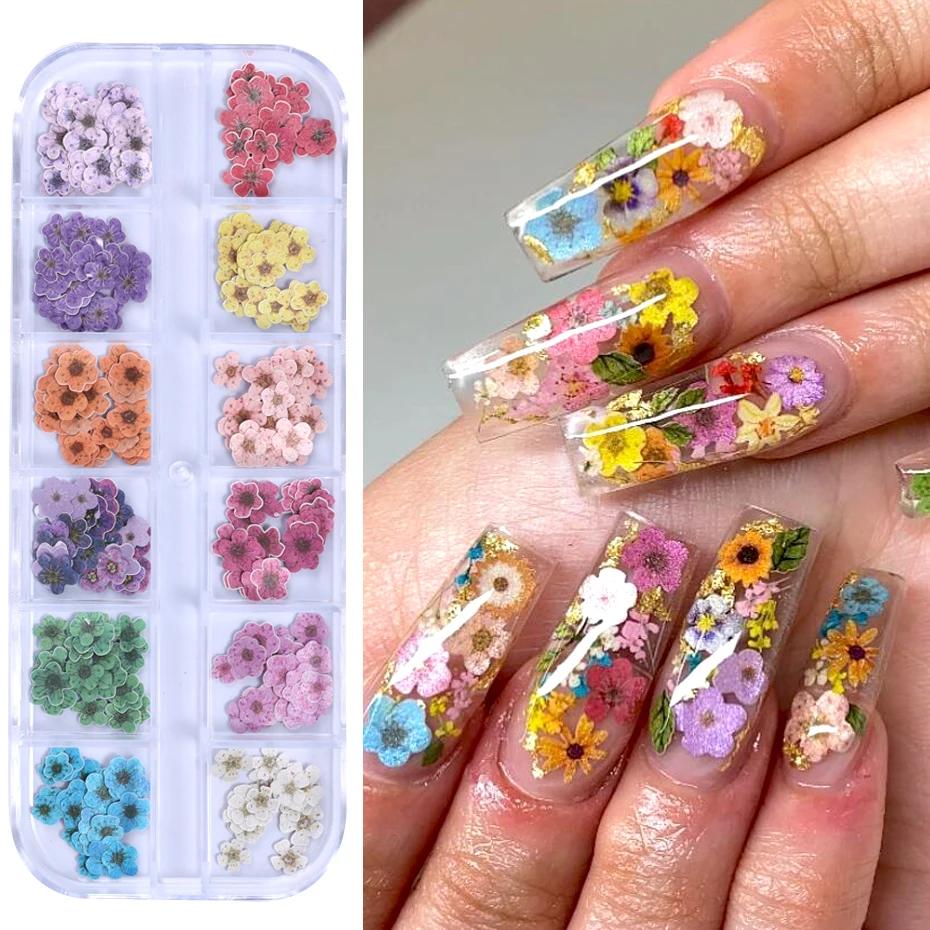 12 grilles 3D fleur colorée Ultra-mince résine remplissage pâte de bois tranche petite marguerite on