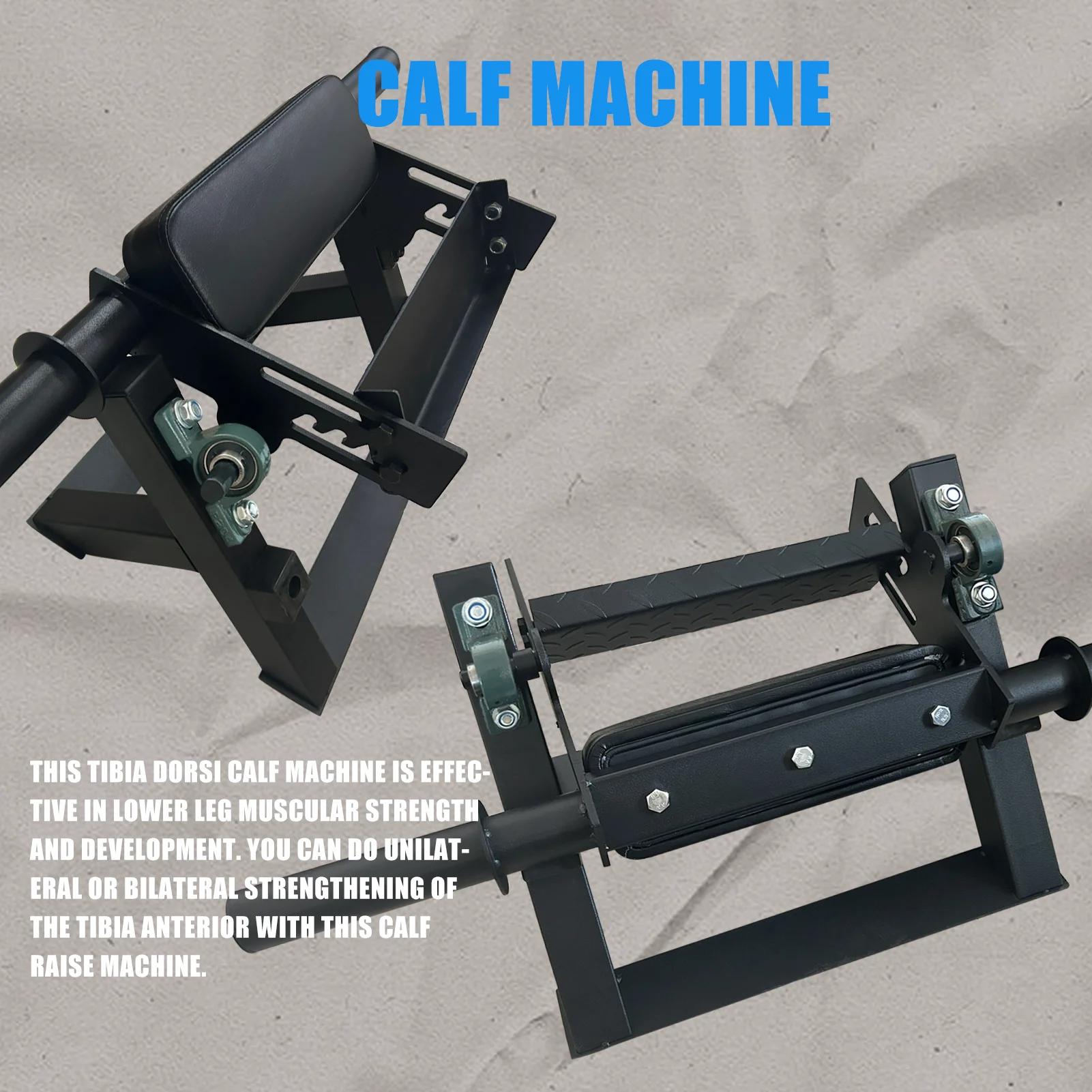 Machine de levage de mollet réglable, étirement du mollet, entraînement de force, convient à 2 plaqu