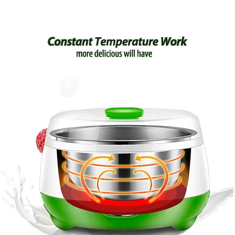Mini Yaourtière Électrique existent et Multifonctionnelle, Machine de Fermentation Domestique, pour 