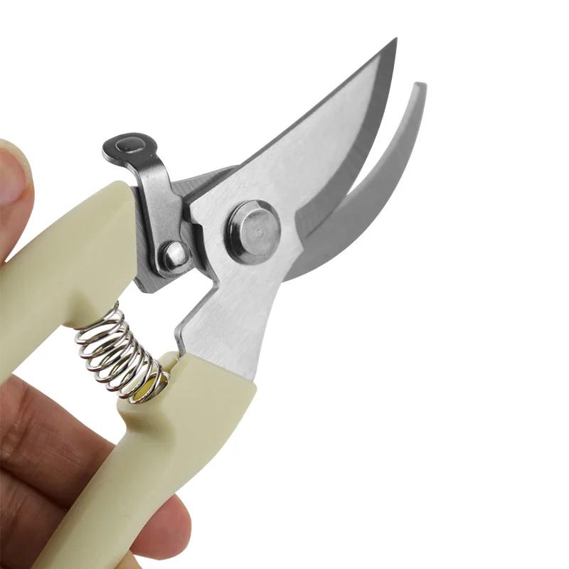 Outil de greffage en acier inoxydable, cisaille de jardinage, ciseaux, outil de branche, cisaille de