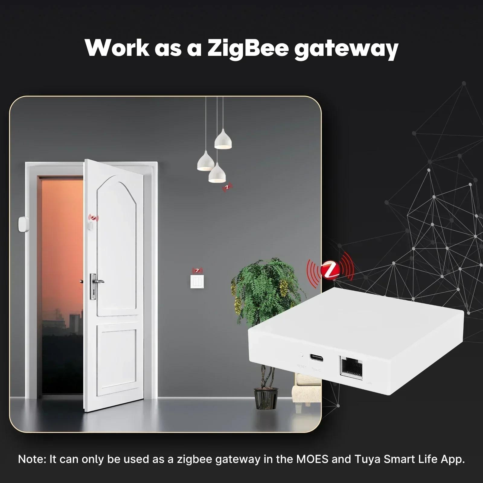 MOES Tuya Zigbee Matter fil passerelle maison intelligente pont Matter Hub prise en charge commande 