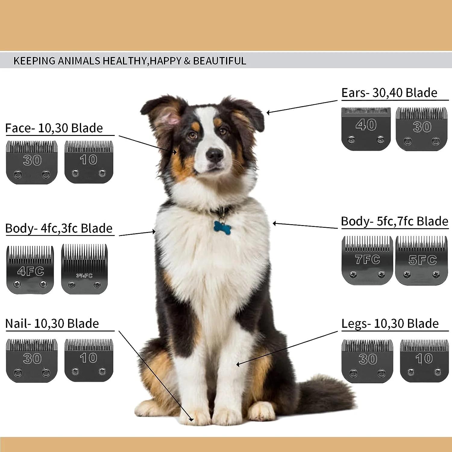 Ensemble de tondeuses de toilettage pour chiens, poignées noires, acier inoxydable, compatible avec 