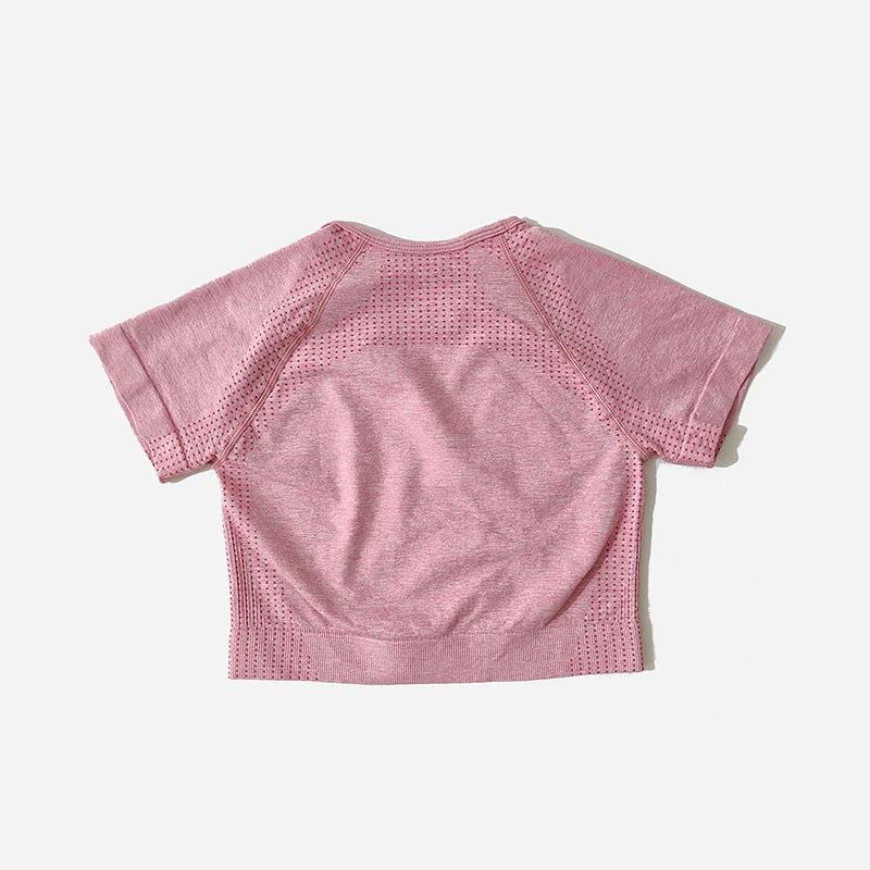 Ensemble de Yoga sans couture pour femmes, haut court, chemise à manches courtes, Short de Fitness, 