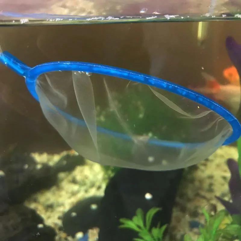 Accessoires d'aquarium à mailles fines, 2 pièces, poignée en acier inoxydable, filet de pêche pour A