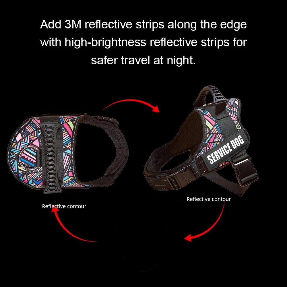 DOG FAVORS – harnais coloré pour chien, gilet, étiquettes personnalisables, collier réfléchissant po