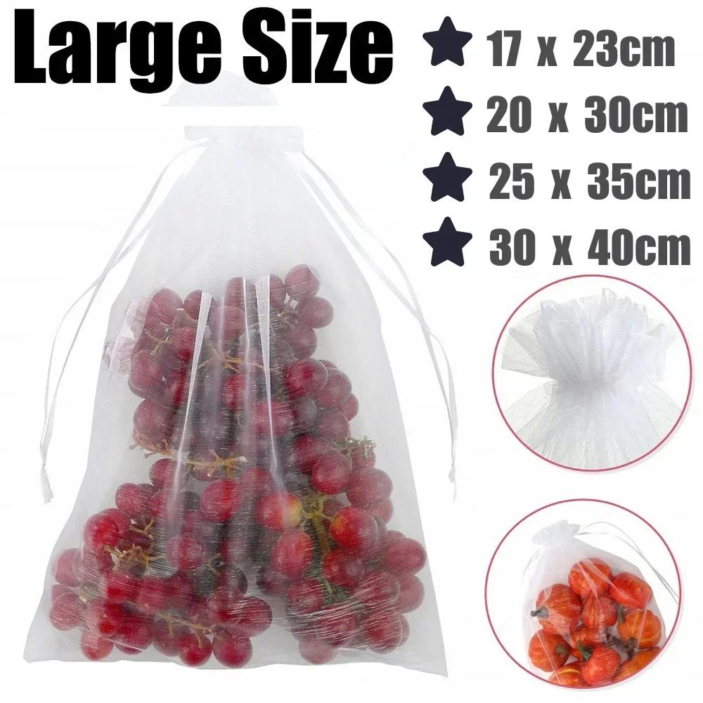 Sacs de Protection des fruits, 100 pièces, filet antiparasitaire, sacs de raisin Anti-oiseau, filet 