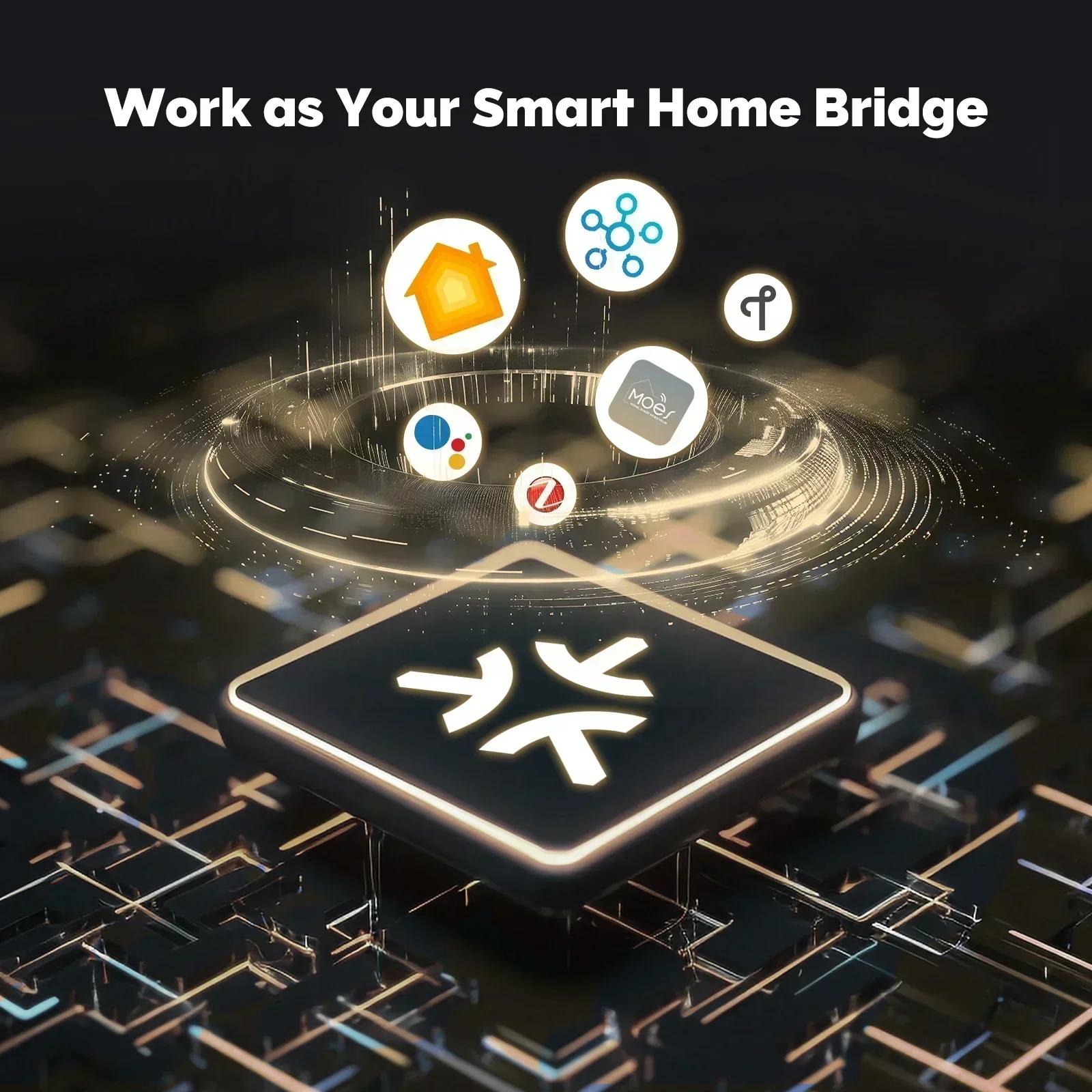 MOES Tuya Zigbee Matter fil passerelle maison intelligente pont Matter Hub prise en charge commande 