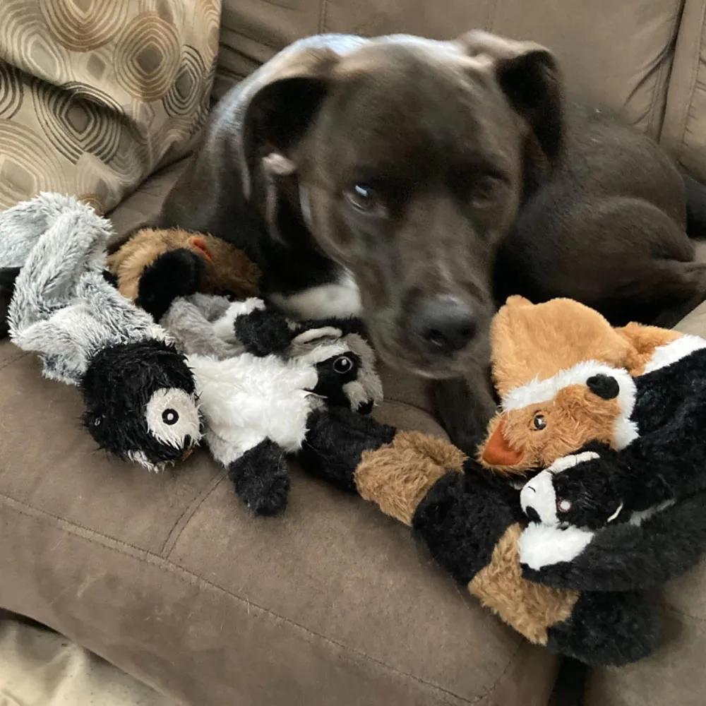 Jouet Animal simulé drôle pour chien, sans farce, avec couineurs, peluche Durable, jouet à mâcher po