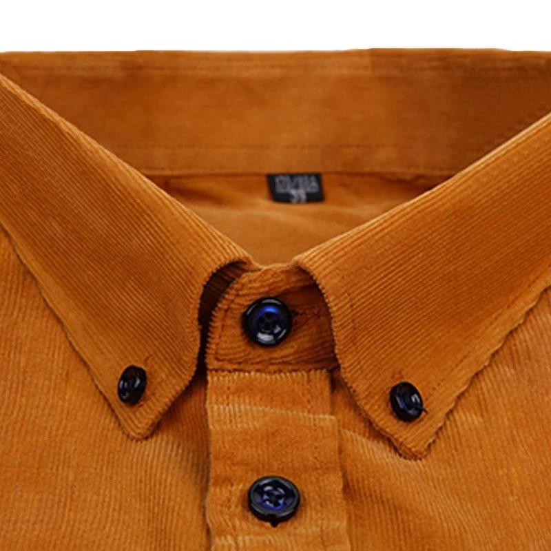 Chemise en velours côtelé à manches longues pour hommes, 100% coton, coupe régulière décontractée, p