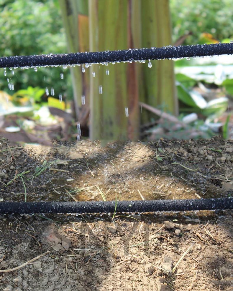 Tuyau d'arrosage Micro goutte-à-goutte 10m/20m, 4/8mm, Tube Anti-vieillissement, perméable, pour jar