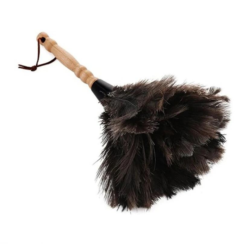 Plumeau en plumes d'autruche naturelles avec manche en bois, brosse à poussière écologique, fournitu