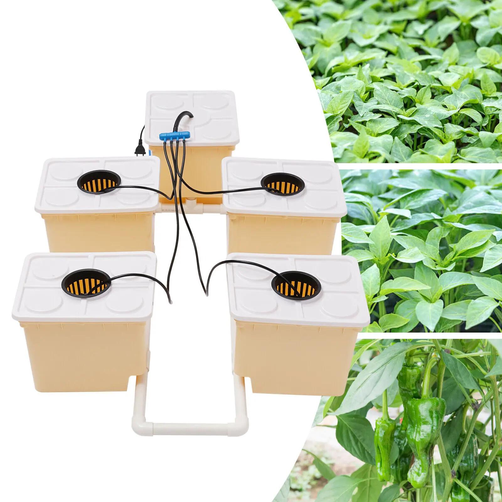 Kit de système de culture hydroponique pour plantes, 11l, 5 seaux, système de culture d'irrigation i