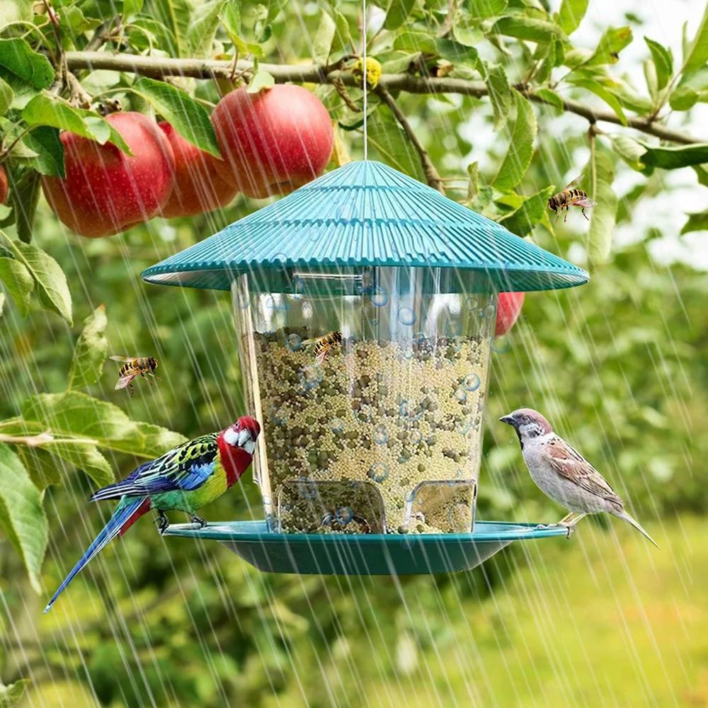 Mangeoire pour oiseaux, outil d'alimentation automatique des pieds, mangeoire pour oiseaux en plein 