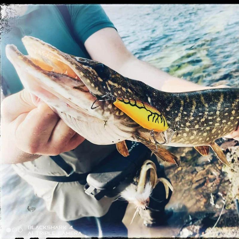 LEYDUN chaud JACK vairon leurres de pêche 107.7mm 30g flottant natation haute qualité appâts durs sy