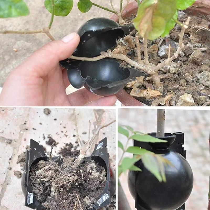Boîte de Propagation de Boule Réutilisable pour Plantes, Root Lauren, 10 Pièces