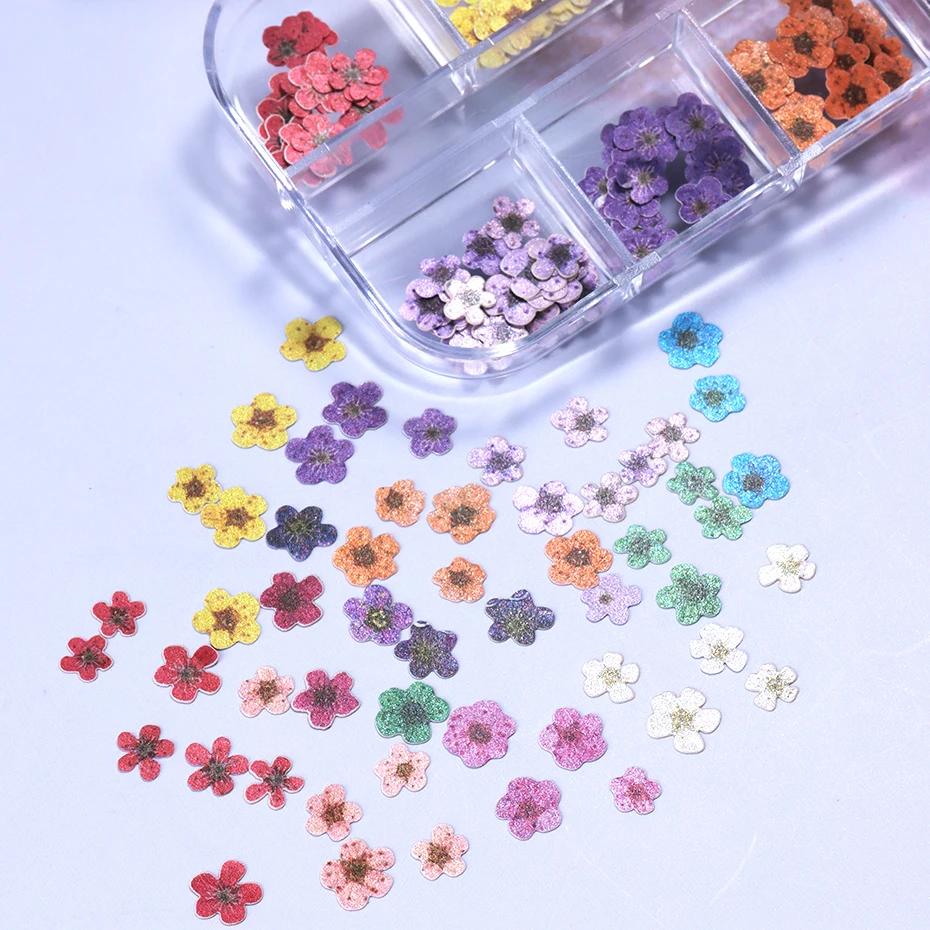 12 grilles 3D fleur colorée Ultra-mince résine remplissage pâte de bois tranche petite marguerite on