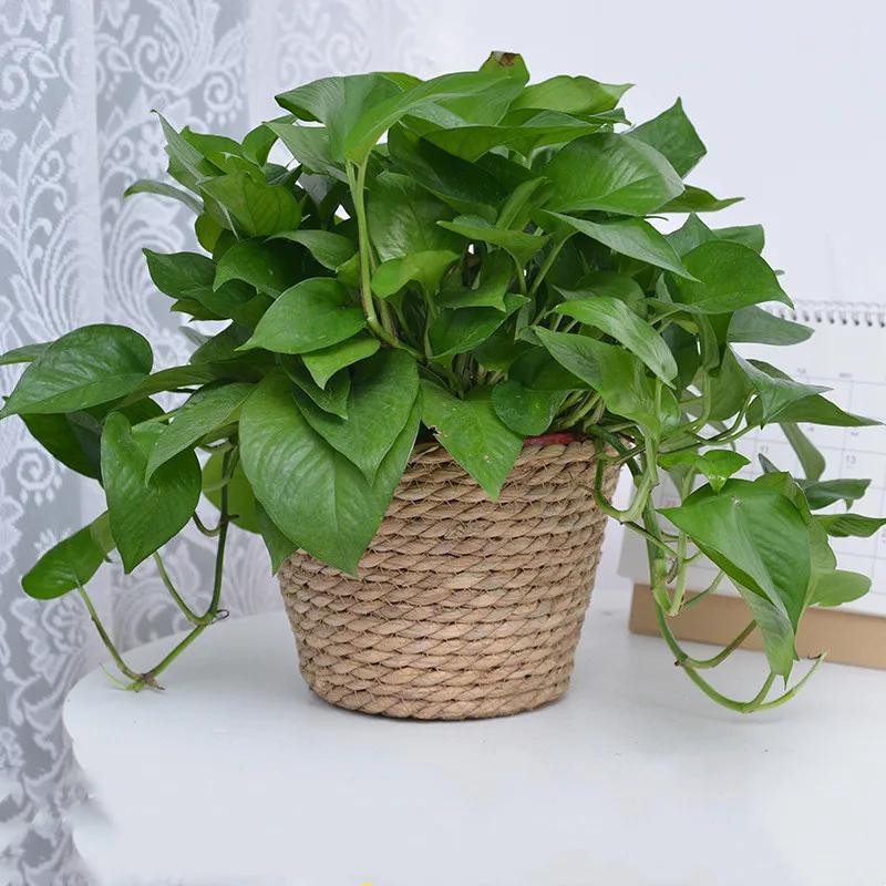 Pot de plantes à fleurs tissées en paille, panier de jardinière d'herbe, couverture de Pot de fleurs