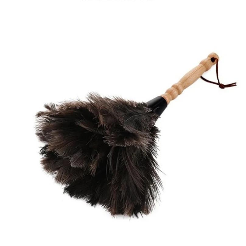 Plumeau en plumes d'autruche naturelles avec manche en bois, brosse à poussière écologique, fournitu