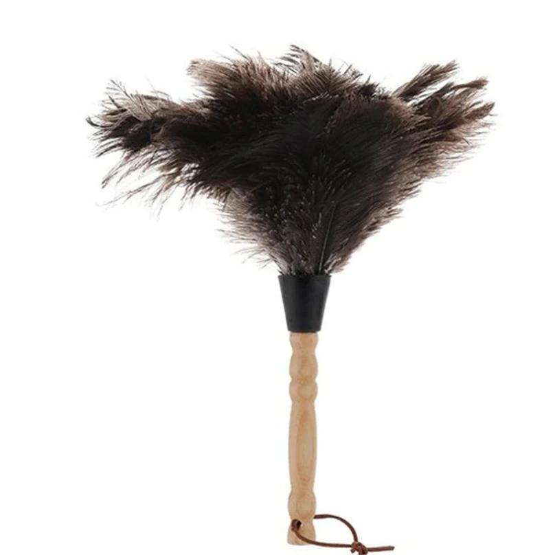 Plumeau en plumes d'autruche naturelles avec manche en bois, brosse à poussière écologique, fournitu