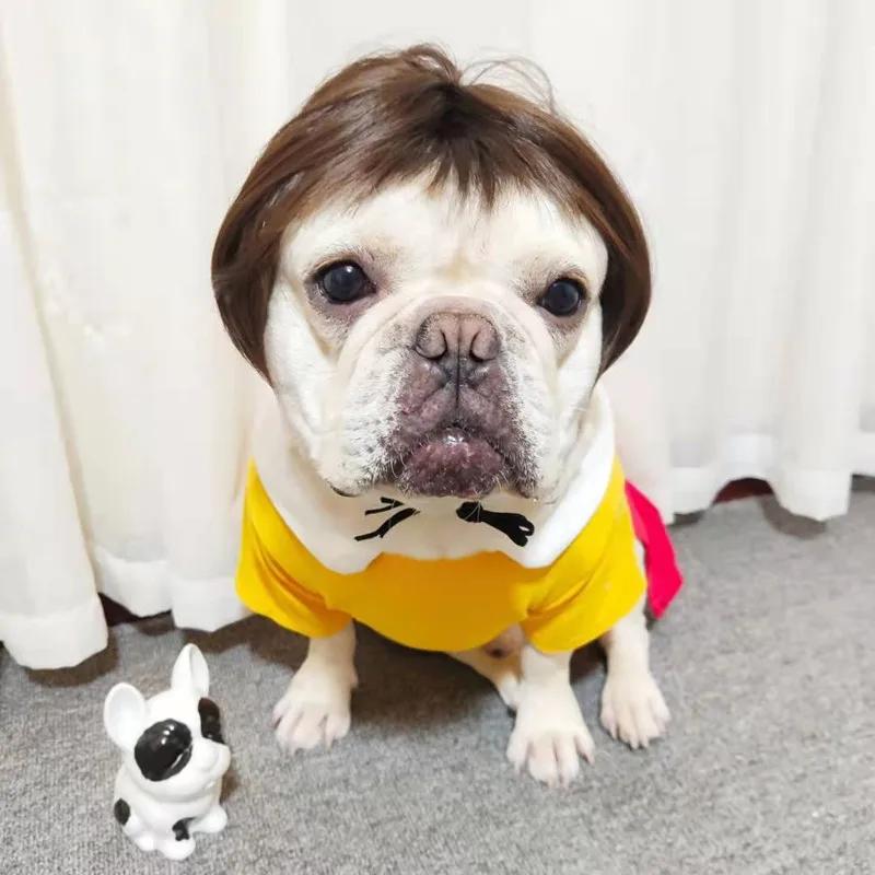 NONOR-Perruques pour animaux de compagnie, accessoires de cosplay, chapeau en élasthanne croisée, ol