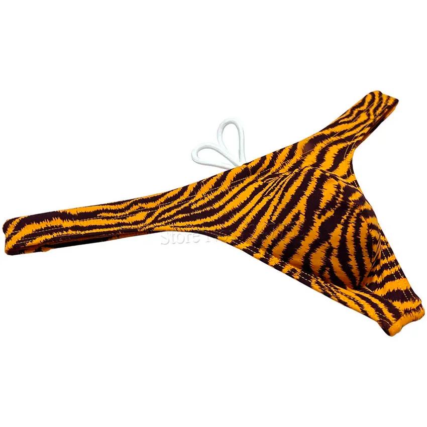 Maillot de bain à rayures tigre pour homme, slip de plage, culotte effrontée, maillot de surf