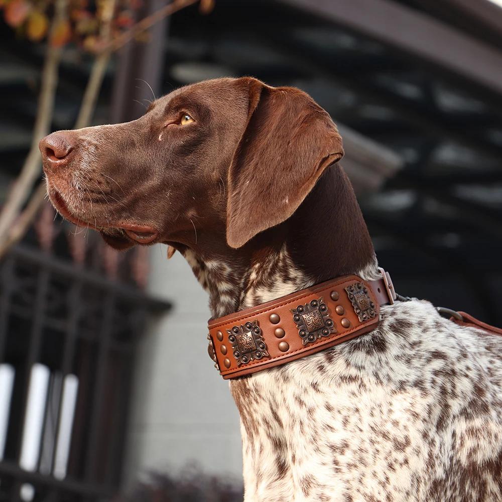 Collier de chien à pointes Cool pour chiens de taille moyenne en cuir véritable Pitbull bouledogue r
