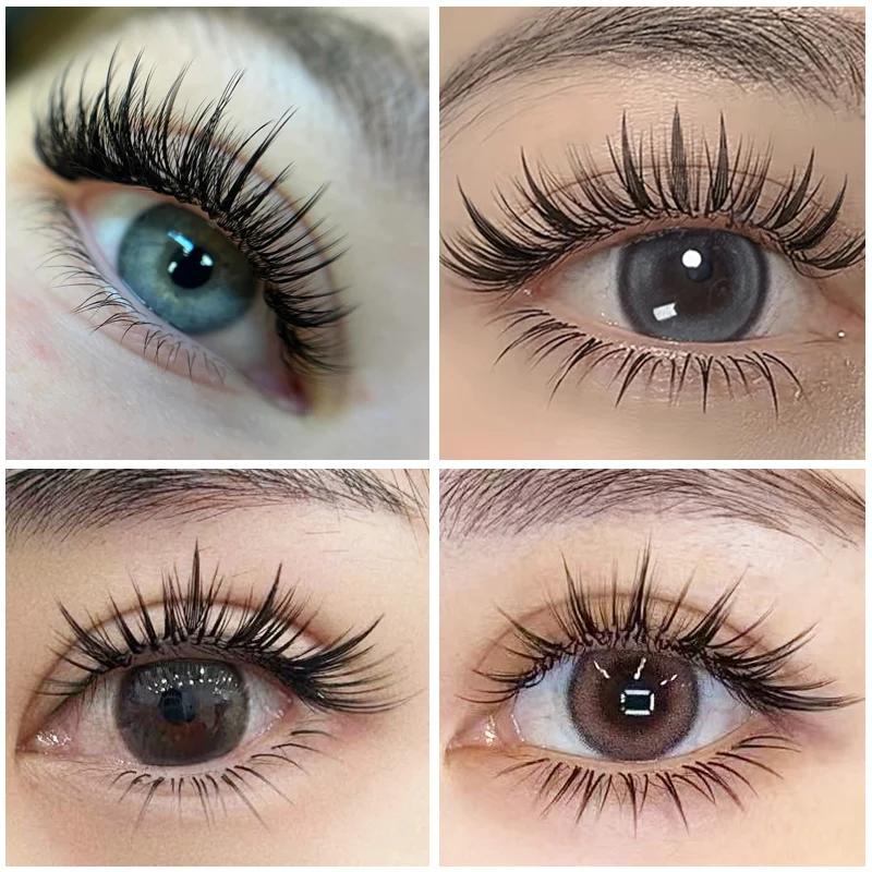 Befer Beauty-Extensions de Cils à Boucles C/D, 240 Grappes, Style Manga, Plume, Flora, Cat Eye, 8-15