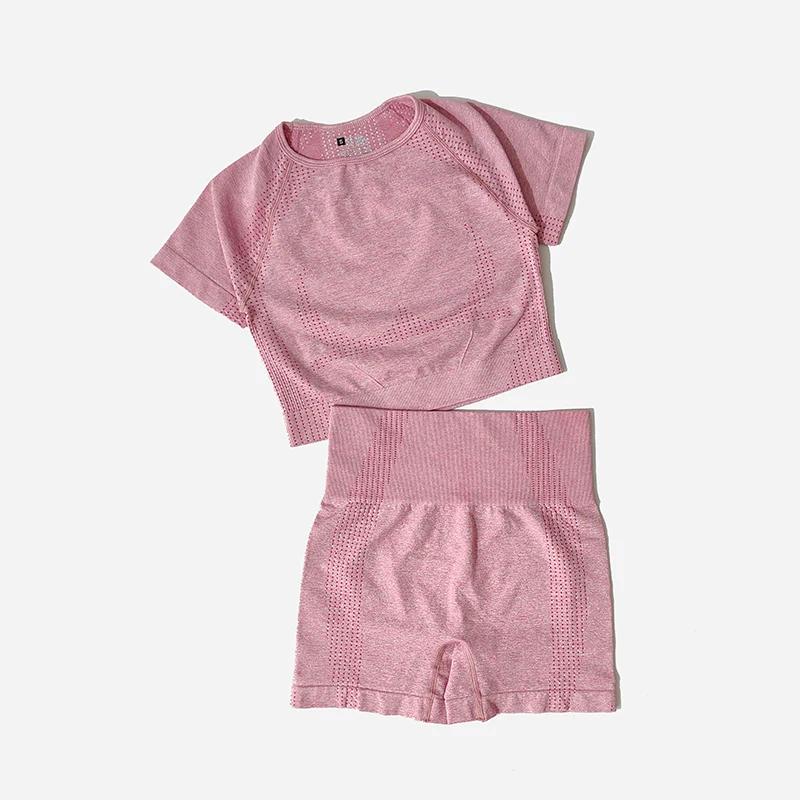 Ensemble de Yoga sans couture pour femmes, haut court, chemise à manches courtes, Short de Fitness, 