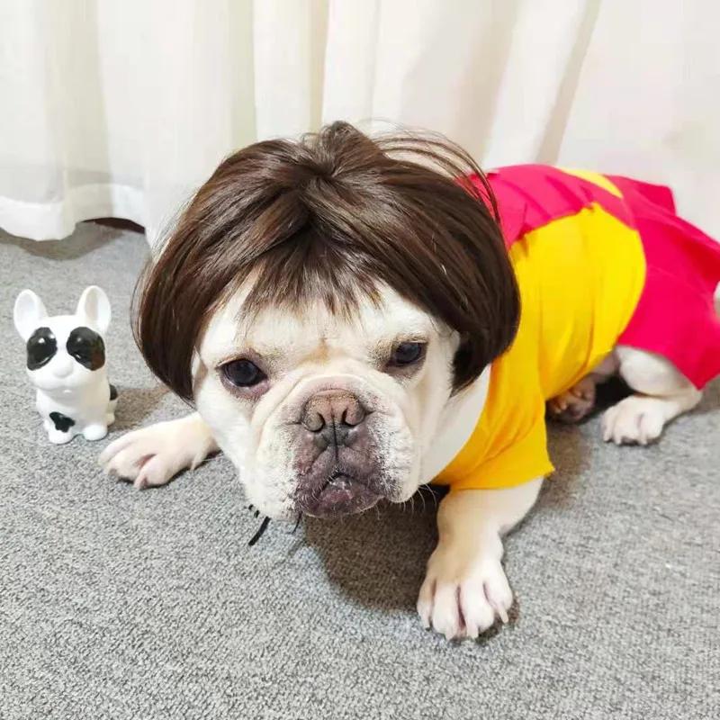 NONOR-Perruques pour animaux de compagnie, accessoires de cosplay, chapeau en élasthanne croisée, ol