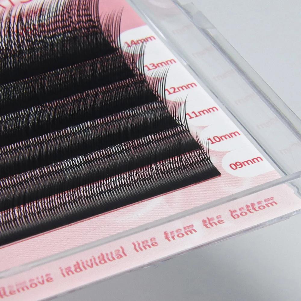 ANNAFRIS Fox YY Extensions de cils Fox Flying 3DW 4DW Volume préfabriqué cils faits à la main nature