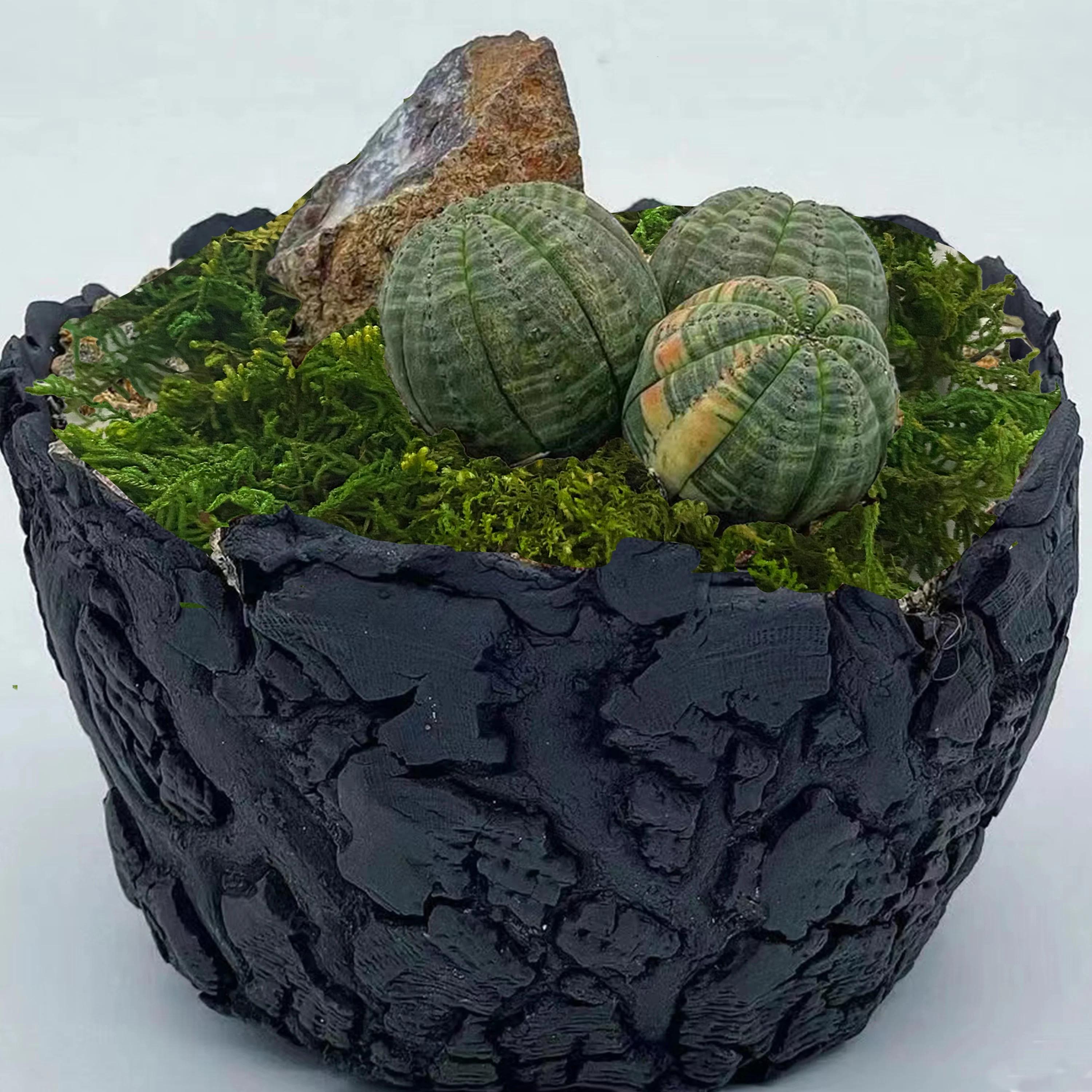Mousse artificielle verte pour plante en pot, mélange d'orchidées, poteau de mousse de tourbe, artis