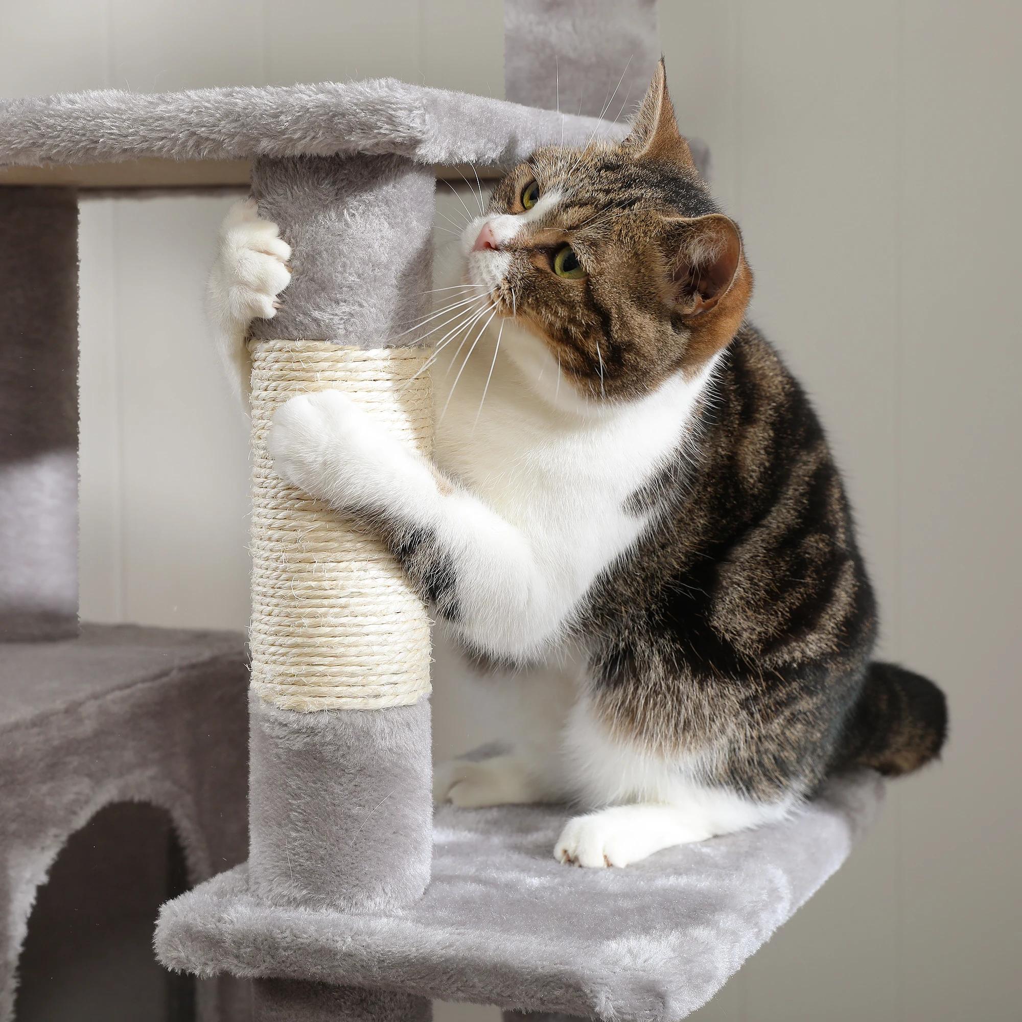 Grand condo pour chats d'intérieur, arbre à chat avec hamac, griffoirs, 2 perchoirs