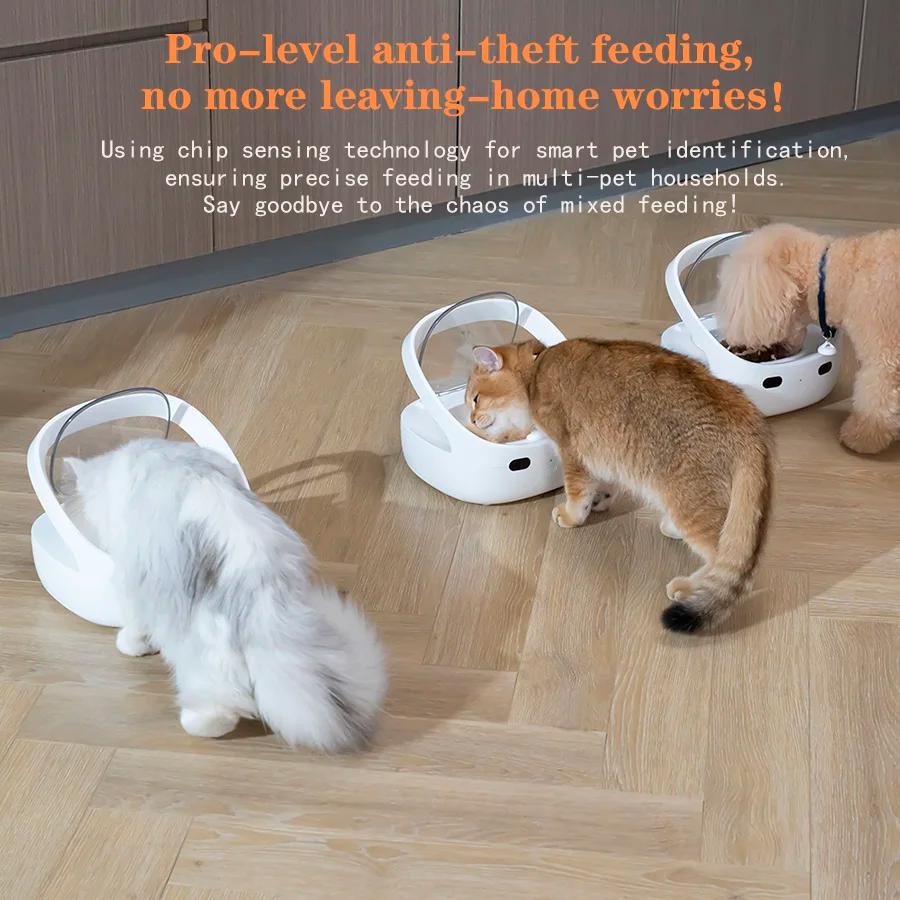 Nouveau mangeoire Petoneer NutriCare sur mesure pour les ménages multi-animaux mangeoire pour animau